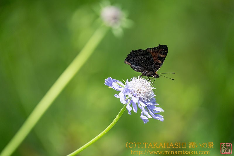 ../Images/7R240817 (134).jpg